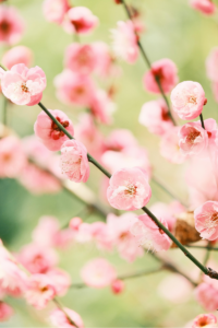 6 Little Spring Things That Spark Joy 🌸✨