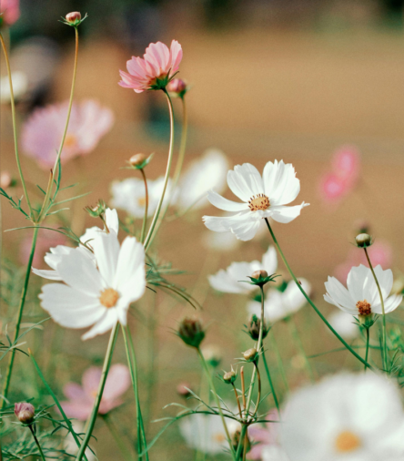 The Spring Reset: 7 Small Habits That’ll Change How You Feel This Season! ๐ฑโจ