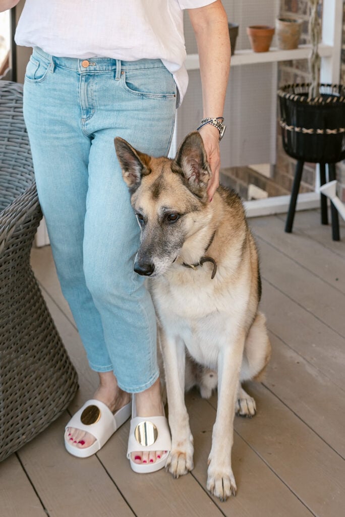 Oscar the German Shepherd sitting close beside Beth on the screened porch as she scratches behind his ear, leaning into her with a content, gentle expression (2022)