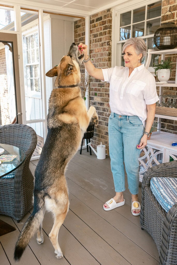 Oscar jumping up on his hind legs on the screened porch as Beth holds a treat above him, full of energy and joy, brick wall and shelves in the background (2022)