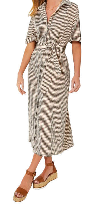 Brown Gingham Seersucker Zacara Dress