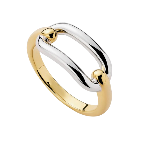 Ana Luisa Blake Two-Tone Ring