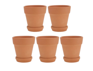Terracotta Pots with Drainage Holes — Set of 5