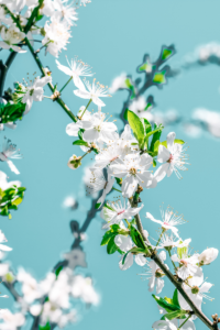 7 Small Sustainable Swaps You Can Make This Earth Day 🌍✨