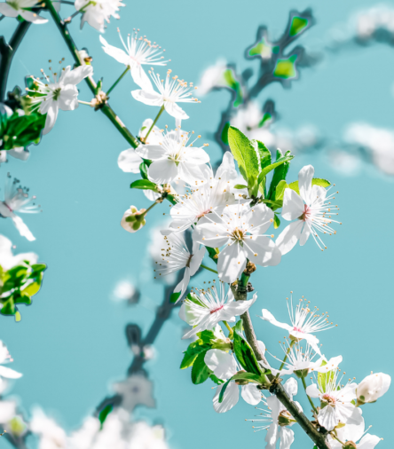 7 Small Sustainable Swaps You Can Make This Earth Day 🌍✨