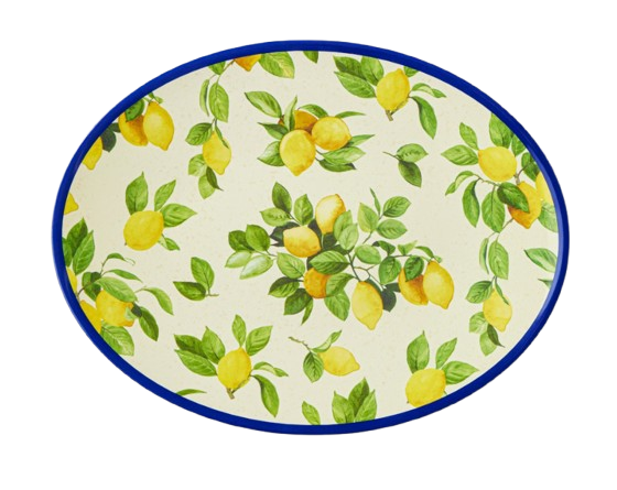 Williams Sonoma Lemon Outdoor Melamine Oval Platter