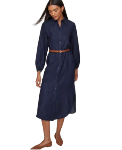 Denim Shirtdress