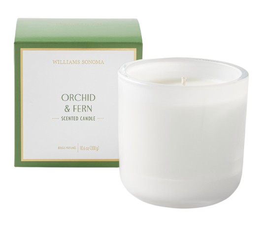 Home Fragrance Orchid & Fern Candle