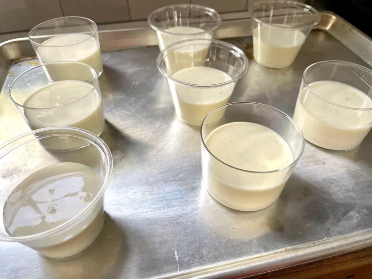 Eight 5-ounce clear plastic cups and glasses filled with the buttermilk vanilla panna cotta mixture arranged on a rimmed sheet tray, ready to refrigerate