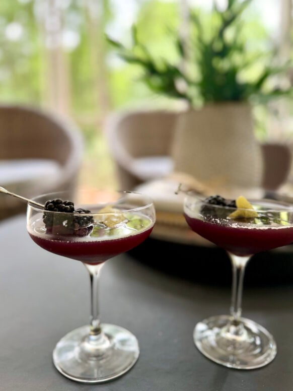 Two deep purple-red Blackberry French Gimlets served in coupe glasses on a dark surface, each garnished with fresh blackberries and a lemon twist on a cocktail pick, a potted plant softly blurred in the background.