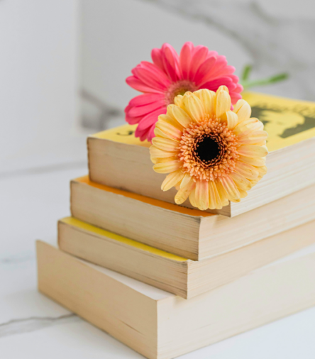 Beth’s May Reading List: 5 New Books Worth Dropping Everything For This Weekend 📚✨
