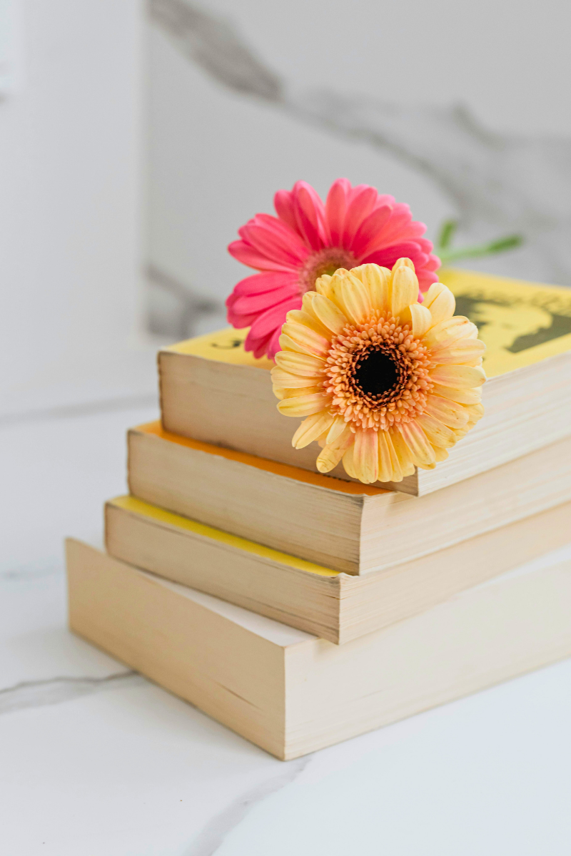Beth’s May Reading List: 5 New Books Worth Dropping Everything For This Weekend 📚✨
