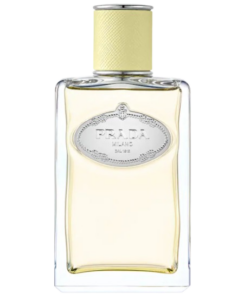 Prada Infusion Gingembre Eau de Parfum with Ginger & Vetiver