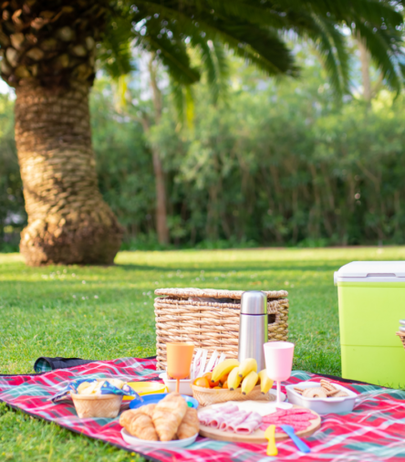 The Picnic Edit: 6 Finds That Turn Any Outdoor Meal Into a Proper Occasion ☀️✨