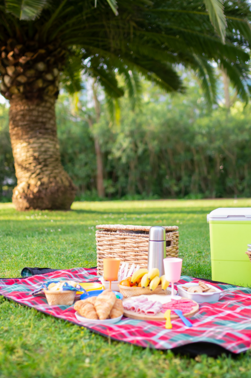 Outdoor picnic setup on a red plaid blanket spread across a grassy lawn beneath palm trees, featuring croissants, fruit, charcuterie, drinks, a woven basket, and a cooler for a relaxed summer gathering.