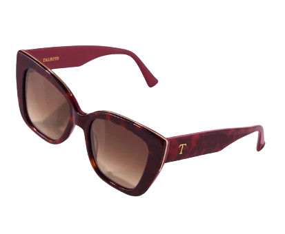 Tanya Colorblock Tortoiseshell Sunglasses