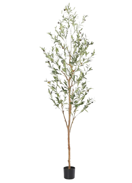 Bellacat Faux Olive Tree