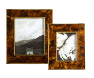 Tortoise Brass Resin Picture Frame