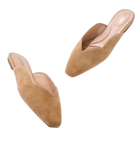 Talbots | Whitley Scallop Suede Mules
