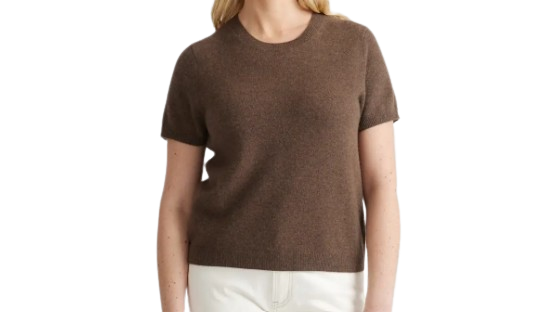 Quince | Mongolian Cashmere Tee
